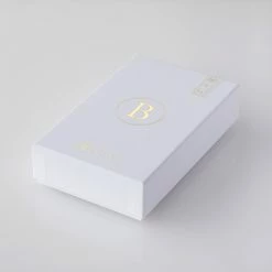 Final Audio In-Ears For Beginners Final - B2