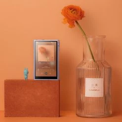 Flash Sale โ Shanling - M3X Hi-Res Audio Players ๐ 80 Shanling - M3X Hi-Res Audio Players