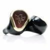 Vision Ears - PHöNIX Flagship IEMS