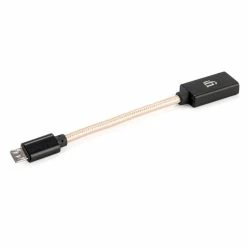 Cables IFi Audio - Audiophile OTG Cable
