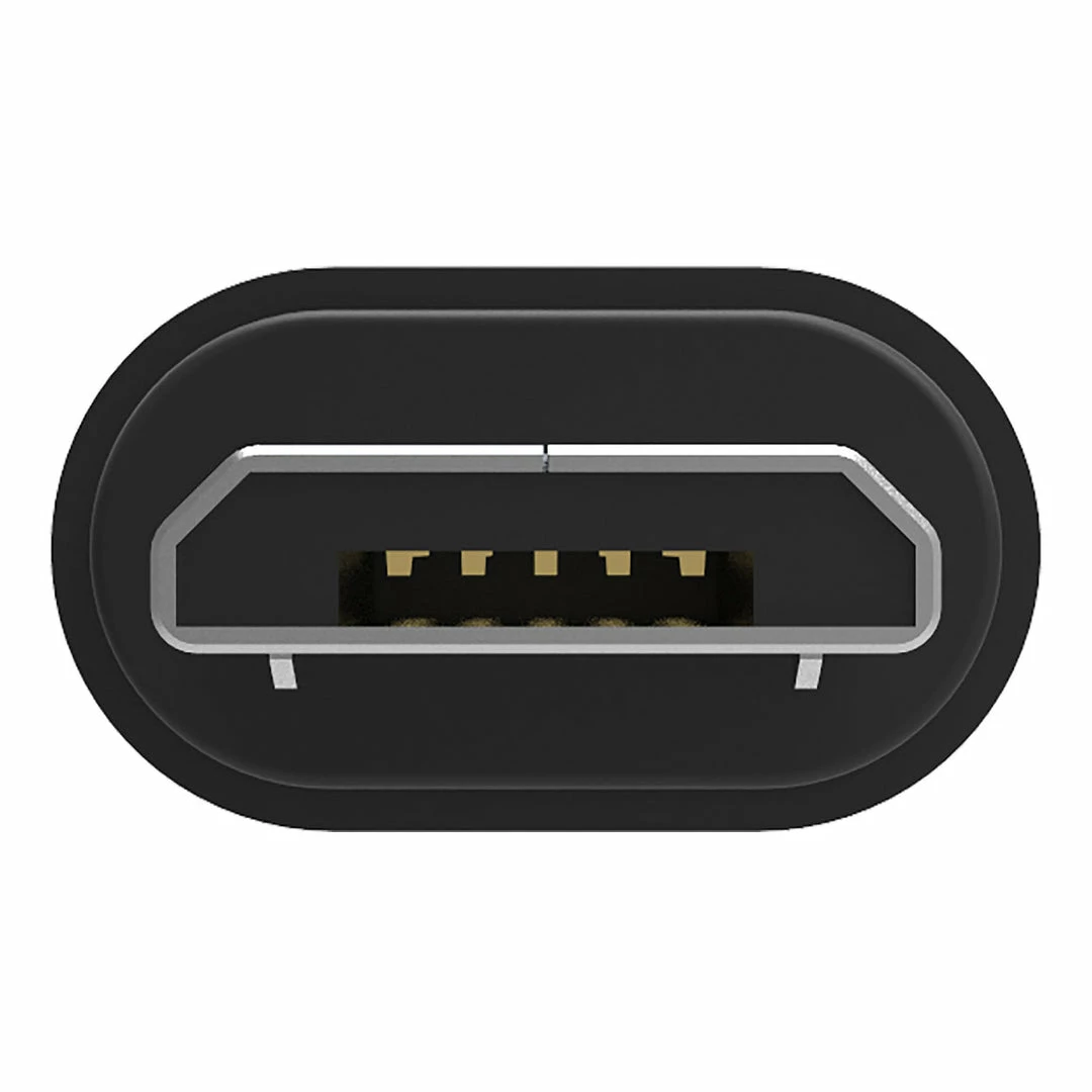 Best deal 🔔 Cables IFi Audio - Audiophile OTG Cable 🤩 7 Cables IFi Audio - Audiophile OTG Cable